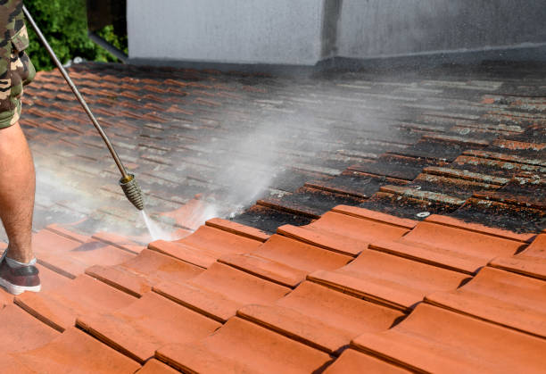 Best Residential Pressure Washing Services  in Monee, IL