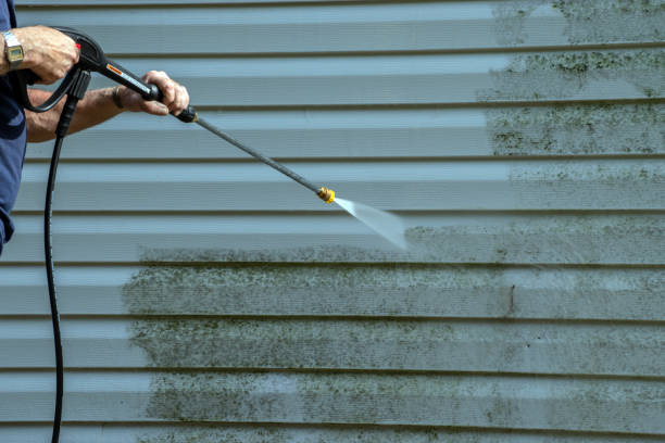 Best Exterior Home Cleaning  in Monee, IL
