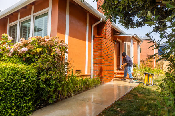 Best Affordable Power Washing  in Monee, IL