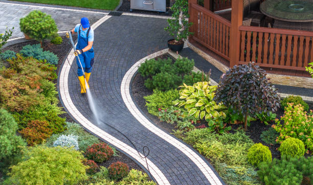 Best Concrete Pressure Washing  in Monee, IL